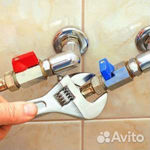 Продаю карликового кролика вислоухого