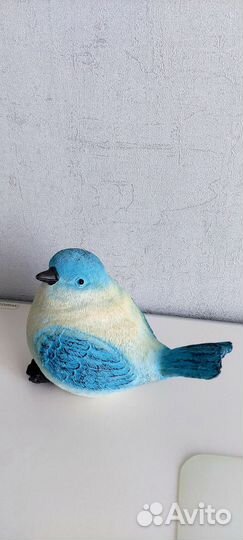 Декоративная птица