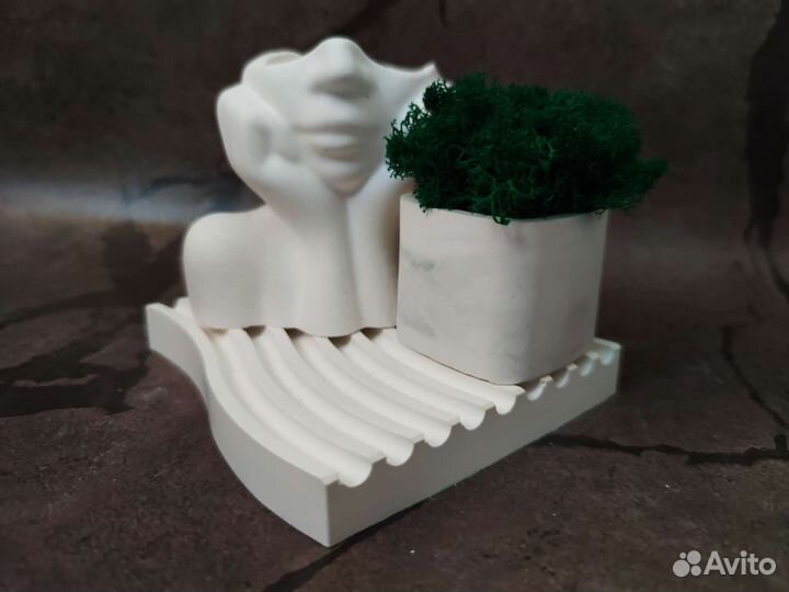 Наборы со стабилизированным мхом