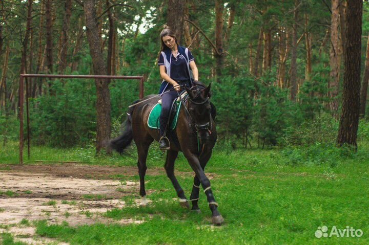 Конные прогулки Омск