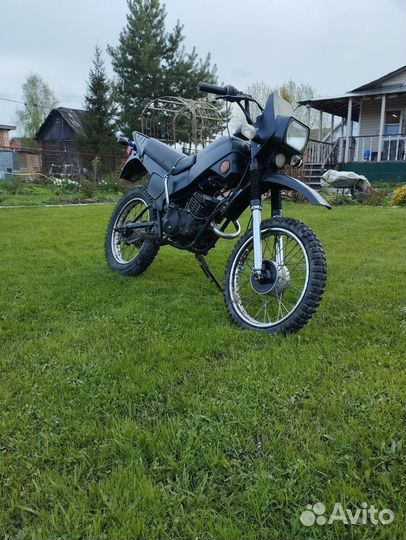 Зид 50 пилот