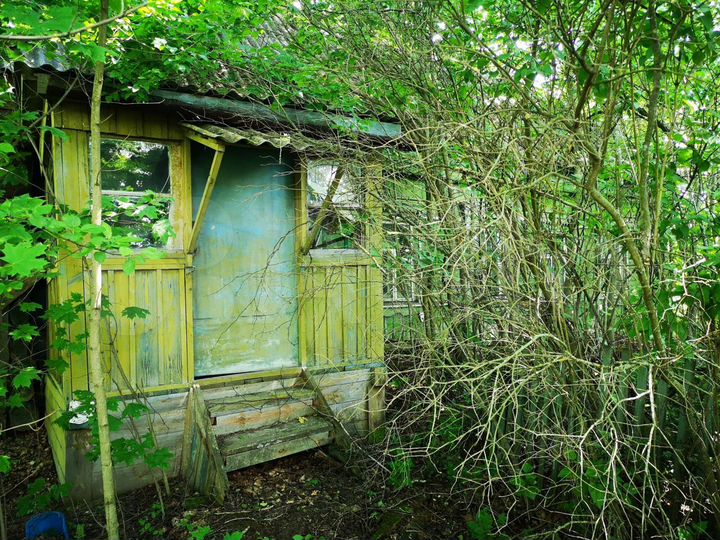 Дом 50 м² на участке 33 сот.