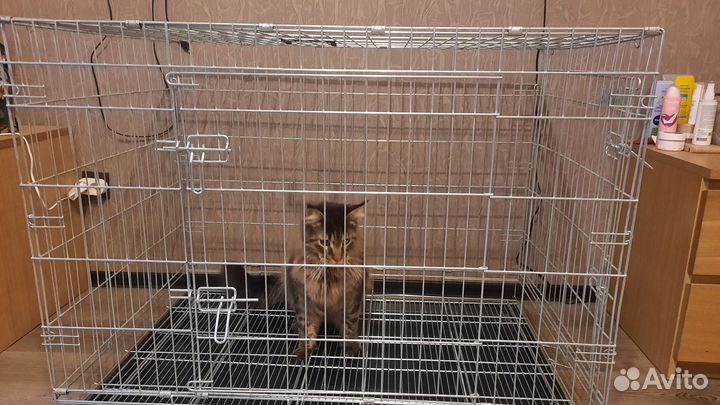 Клетка вольер для собак