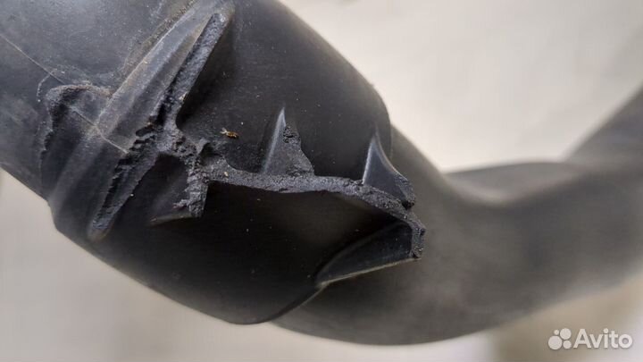 Патрубок интеркулера Skoda SuperB, 2012