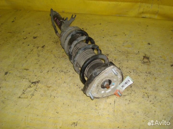 Стойка Nissan Fuga hybrid HY51 (Переднее Правое)