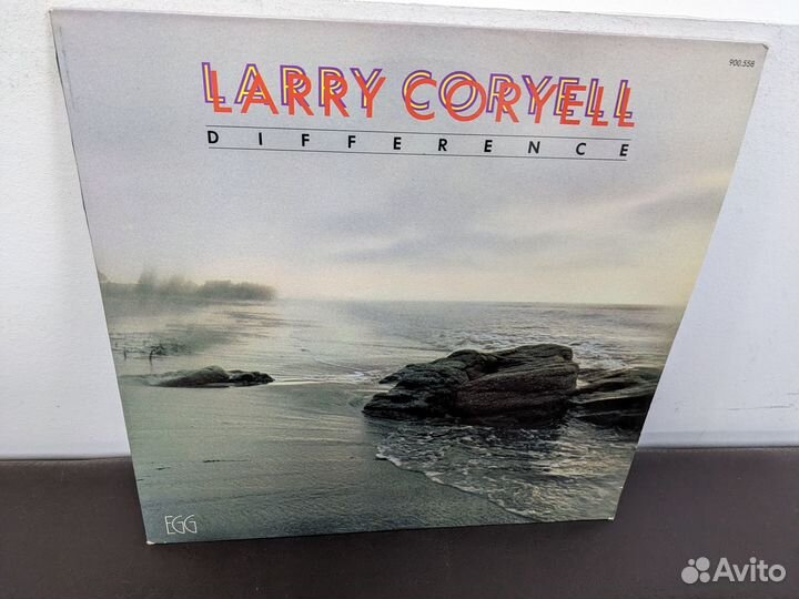 Larry Coryell 