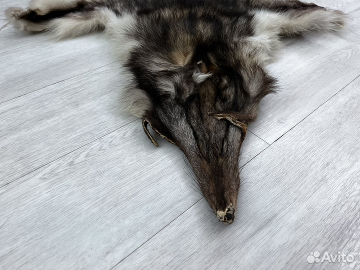 Волчья шкура