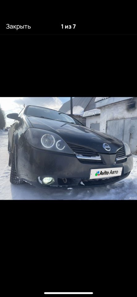 Nissan Primera: фото владельца