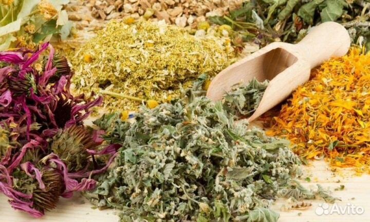 Травяной сбор от глистов