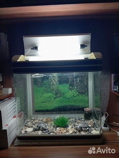 Аквариум