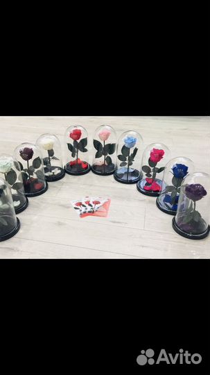 Роза в колбе