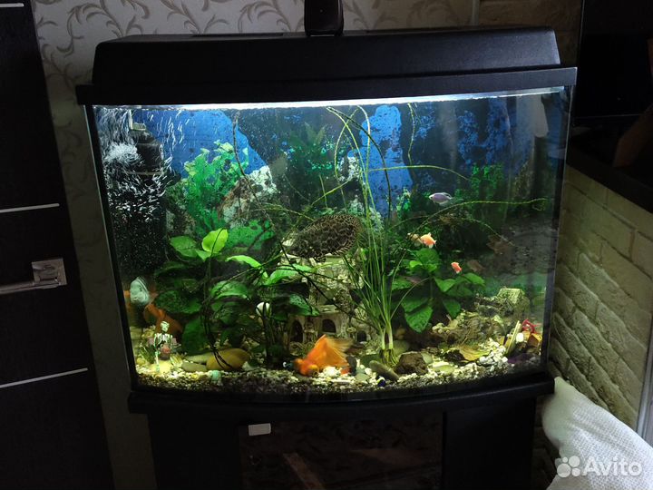 Аквариум с тумбой 120 л