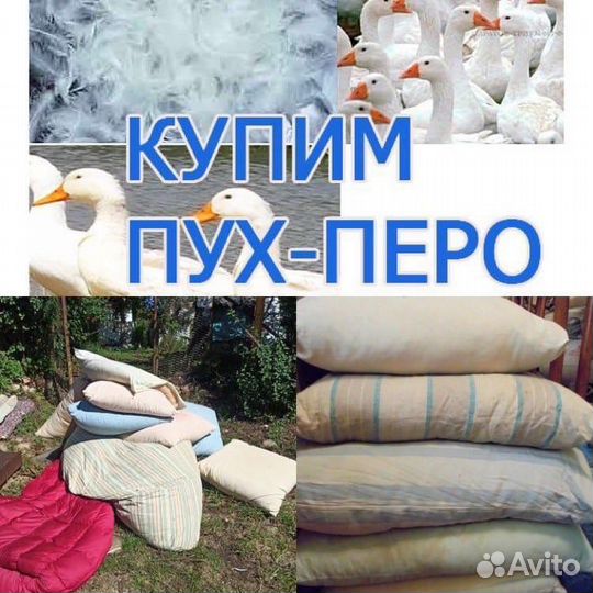 Вынос мусора из квартиры