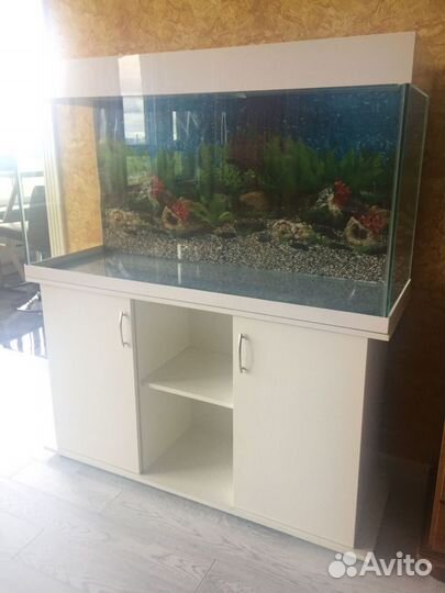 Аквариум