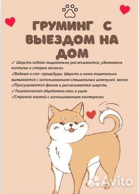 Ишу модель. Грумминг.Экспресс-линька, вычесывание