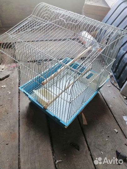 Клетка для попугая волнистого попугая