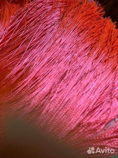 Бахрома, тесьма