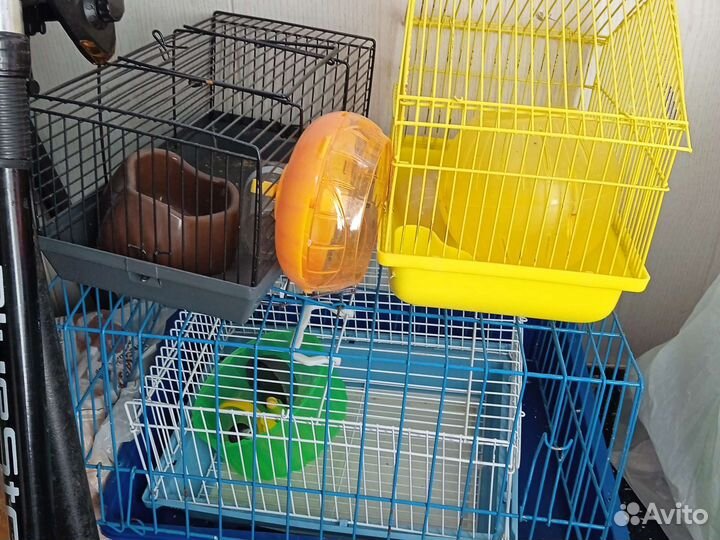 Клетка для грызунов бесплатно отдам