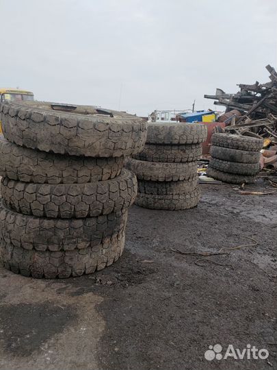 Омскшина У-2 8/25 R20
