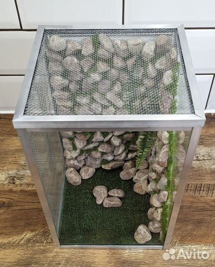 Террариум для бананоеда, паучатник