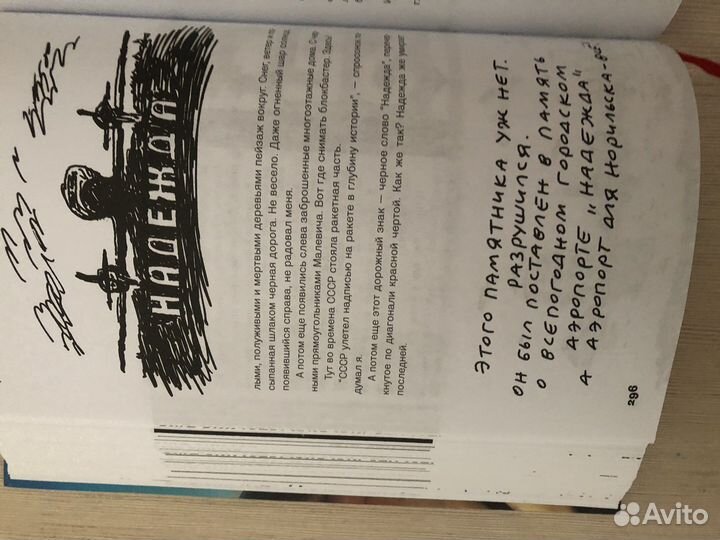 Заметки авиапассажира Андрей Бильжо