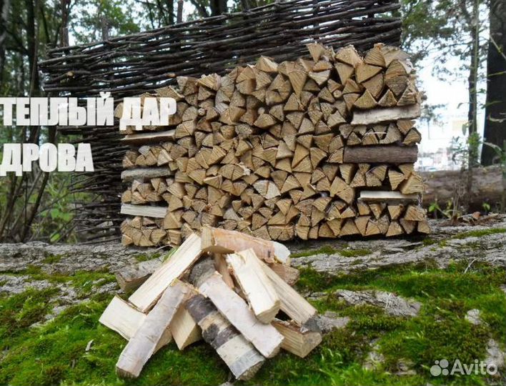 Дрова