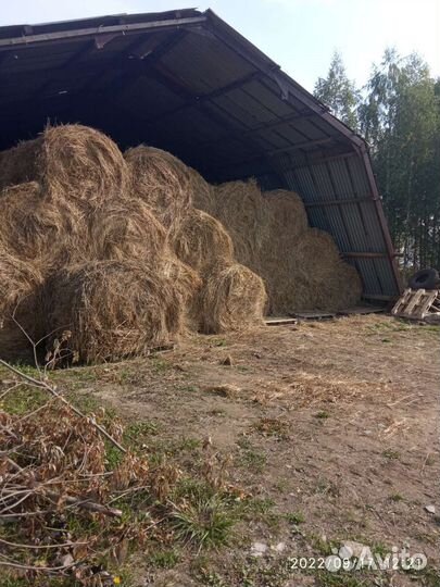 Сено в рулонах