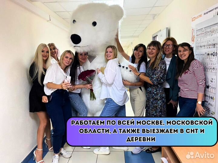 Поздравление от Белого мишки чебурашки панды