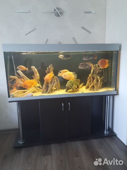 Аквариум 350л