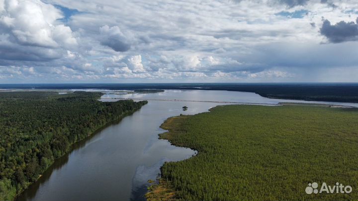 Фото и видео съемка