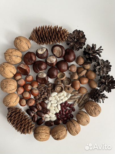 Набор монтессори