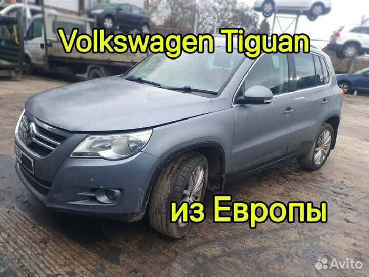 Разбор Volkswagen Tiguan