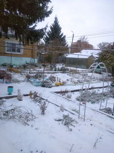 Дом 54 м² на участке 5 сот.