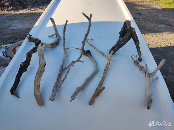 Коряги для террариума