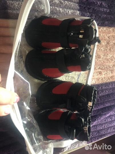 Обувь для крупных собак