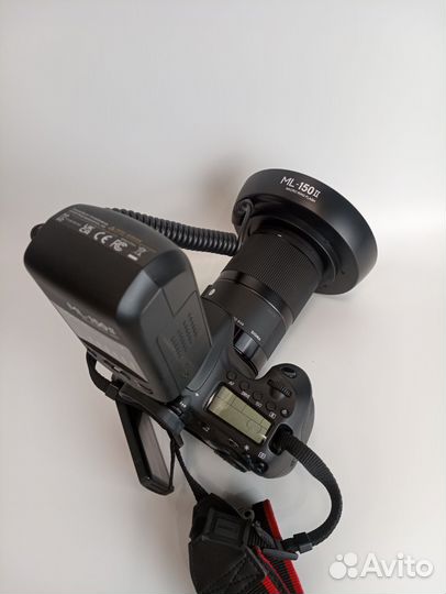 Макро Canon 60D+Sigma 70mm/2.8+вспышка