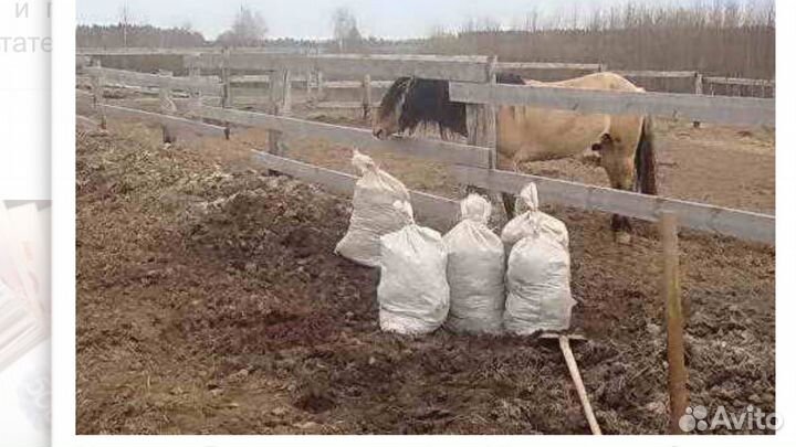Конский Навоз с погрузкой