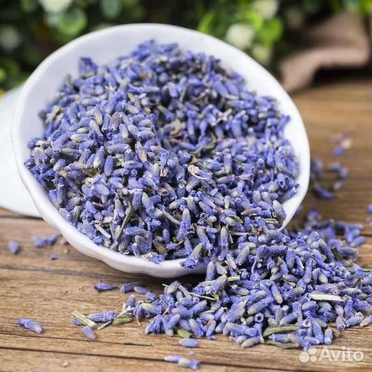 Лаванда цвет