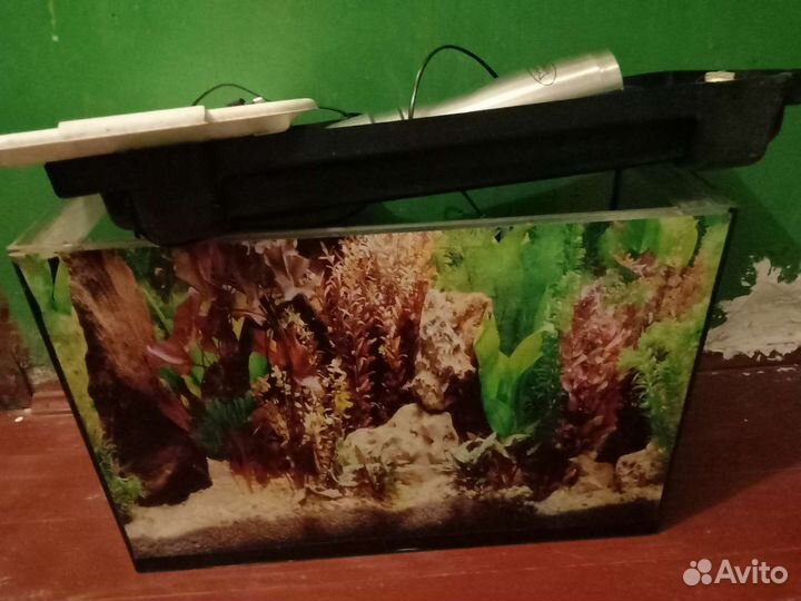 Аквариум