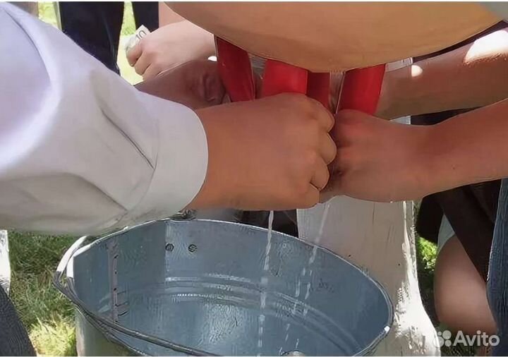 Аппарат для дойной коровы