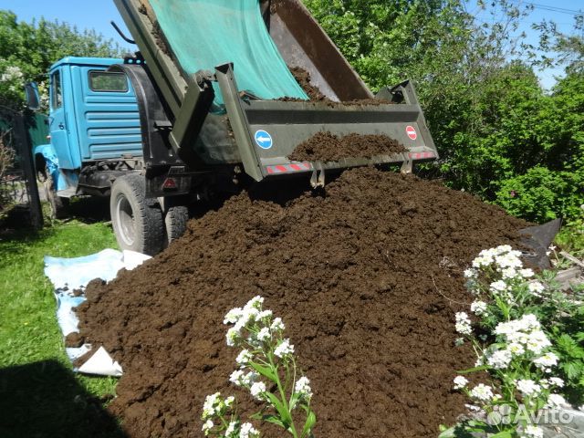 Навоз для посадки деревьев