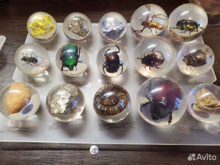 Чудеса природы. Полная коллекция 30+2 выпусков