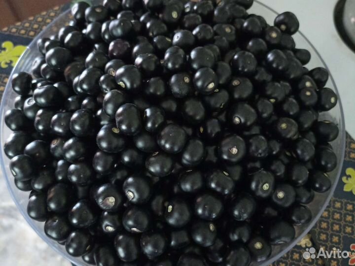 Скандинавская черника, варенье