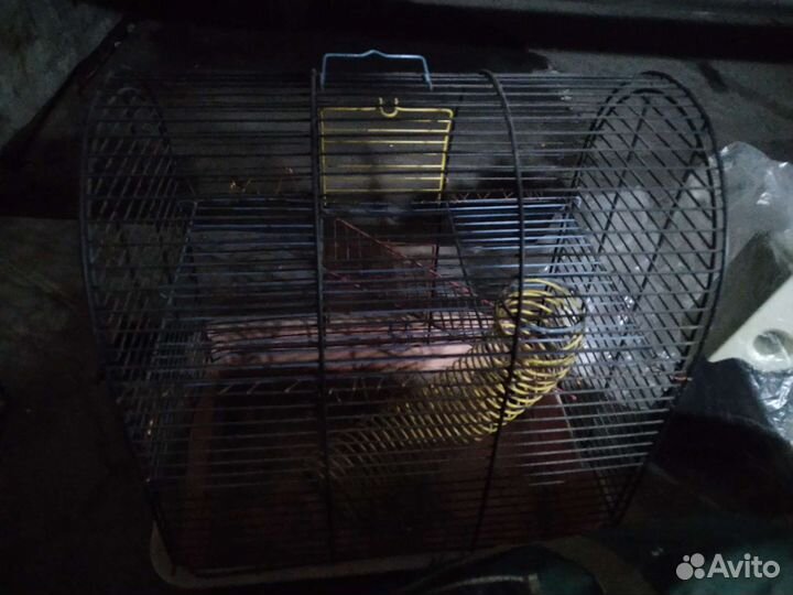 Клетка для грызунов