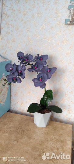 Орхидеи не живые большой выбор