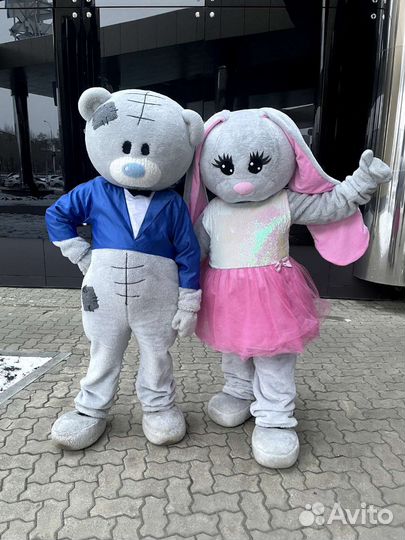 Ростовые куклы, экспресс поздравление Мишка Тедди