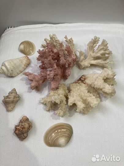 Декорации для аквариума для Александра