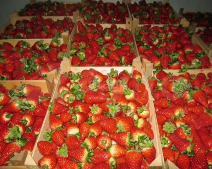 Продам производственное помещение, 990.45 м²