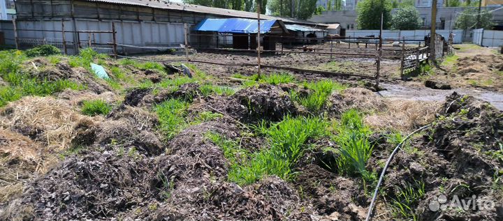 Навоз бесплатно