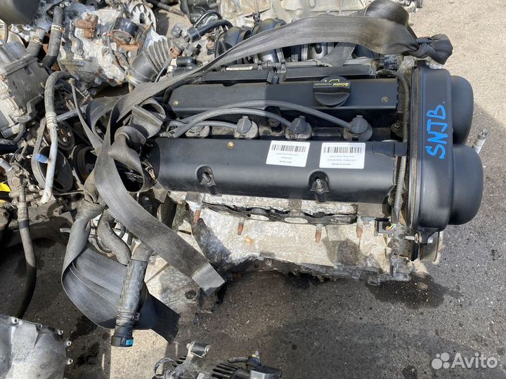 Двигатель snjb Ford Fiesta snjb-AM18467